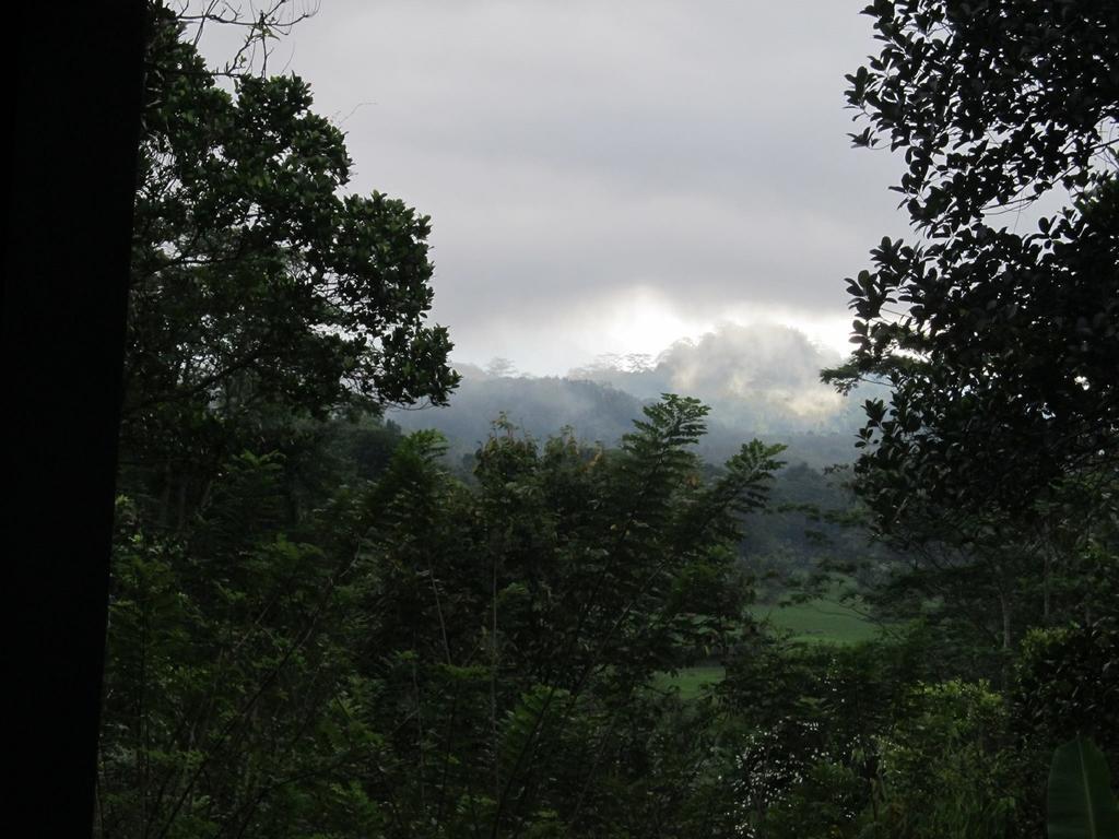 Bandura Kalawana - Rainforest Bungalow Εξωτερικό φωτογραφία